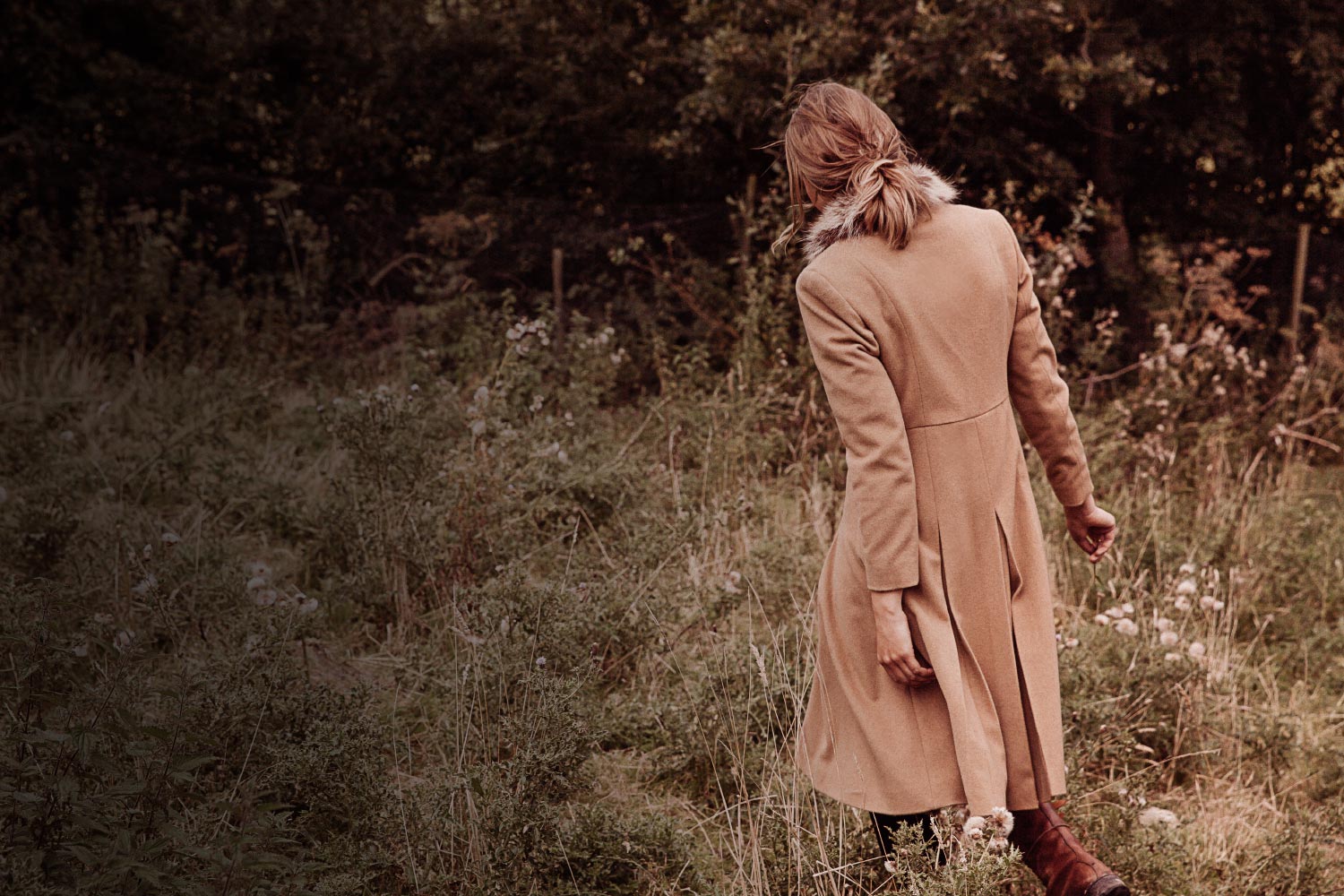 Enchanted Cashmere Collection